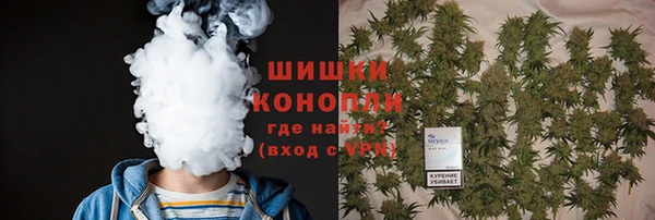 молекула духа Осташков