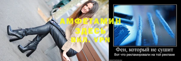 молекула духа Осташков