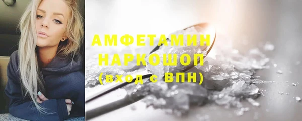 молекула духа Осташков