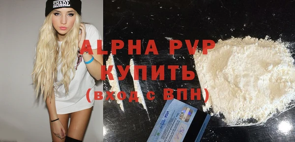 молекула духа Осташков