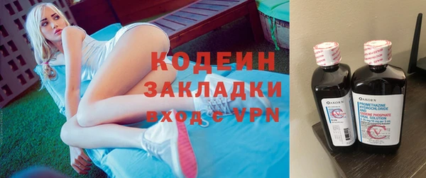 молекула духа Осташков