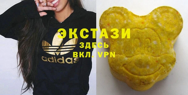 молекула духа Осташков