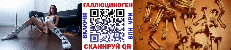 Галлюциногенные грибы MAGIC MUSHROOMS  купить  цена  Бахчисарай 