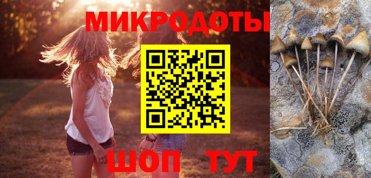 Галлюциногенные грибы Psilocybine cubensis Бахчисарай