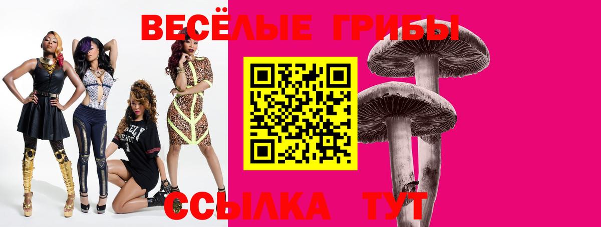 Бахчисарай  Псилоцибиновые грибы ЛСД  Вход с VPN  Галлюциногенные грибы Psilocybe 