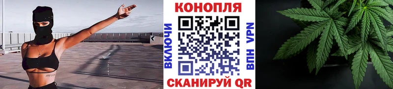 Канабис семена  Бахчисарай 